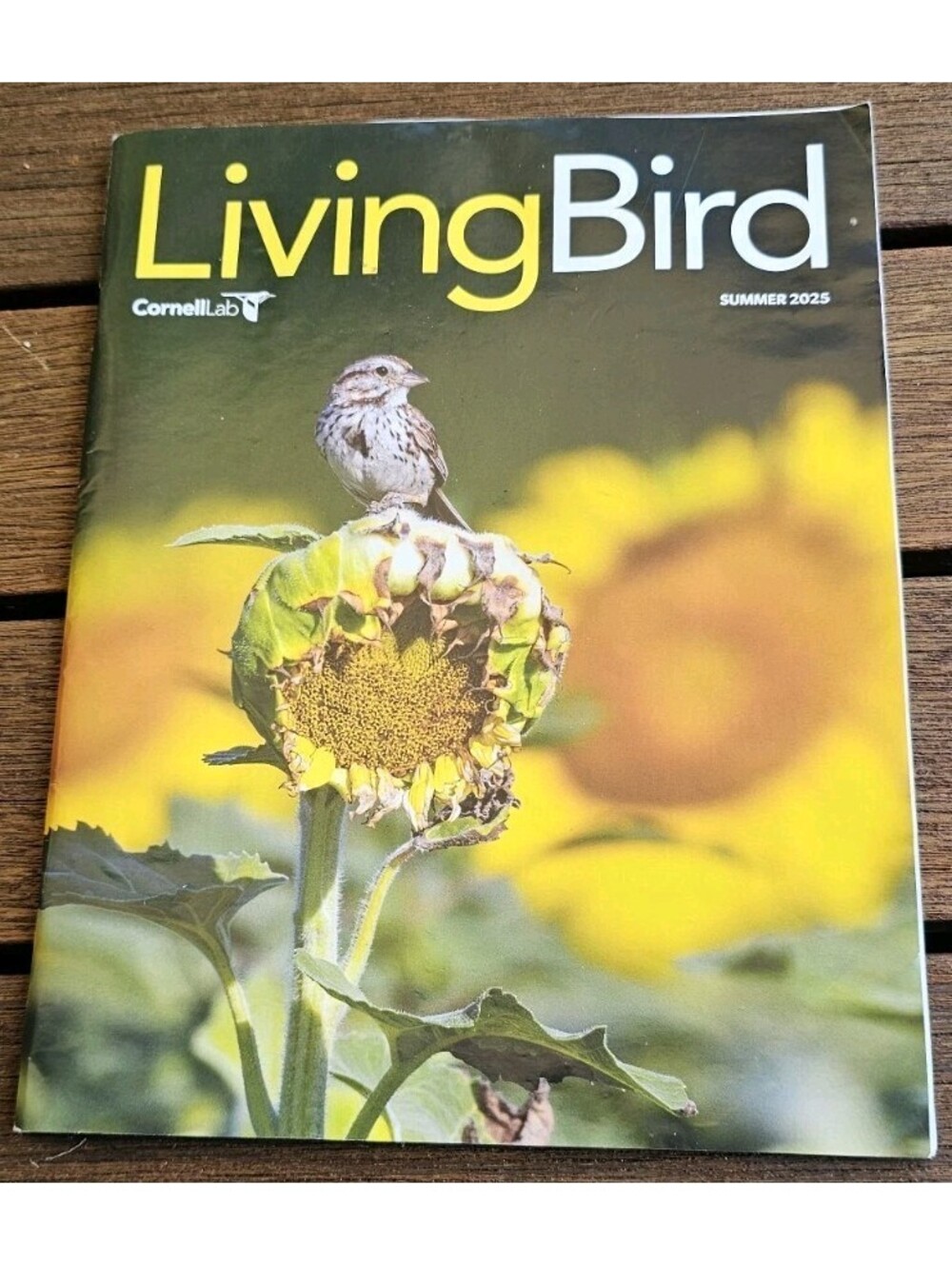 LIVING BIRD Magazine Cornell Lab FOUR Summer Of 2025